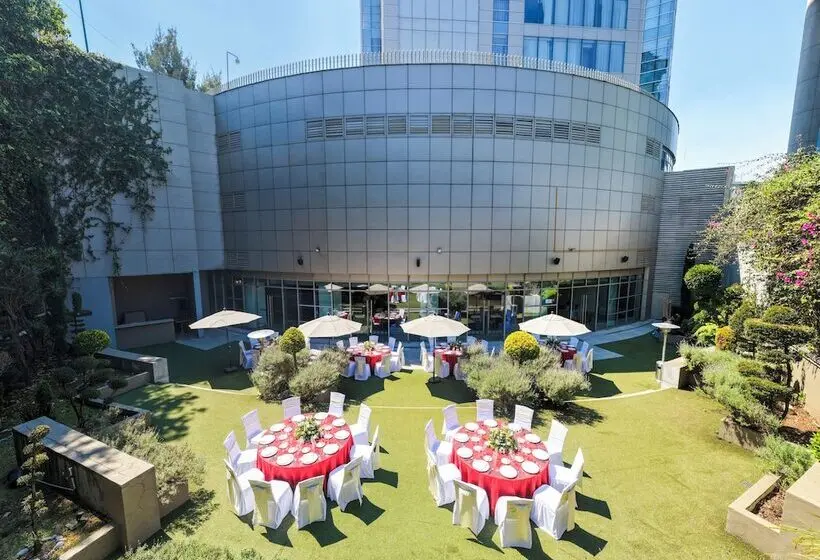 ホテル Barceló México Santa Fe
