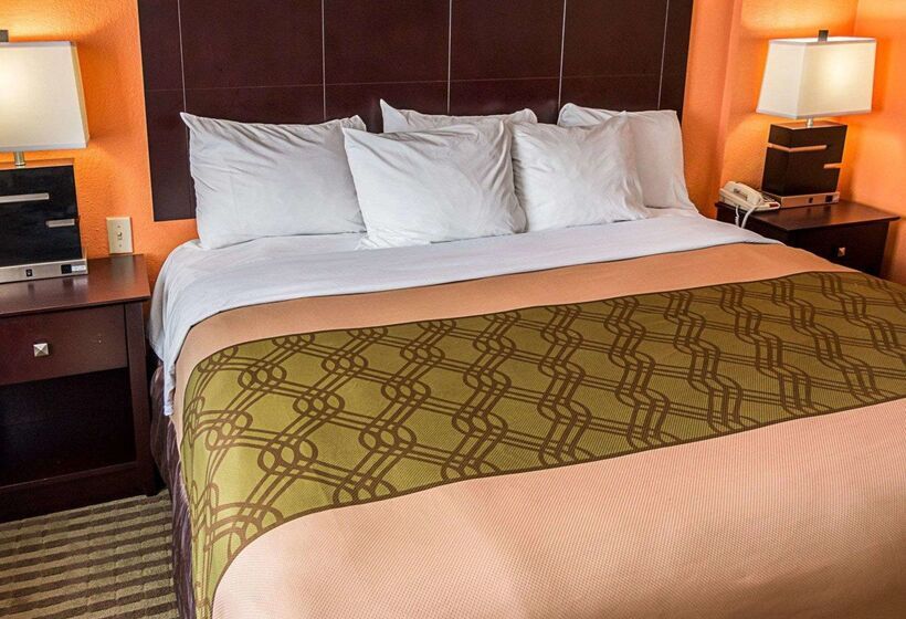 Отель Econo Lodge Inn & Suites Natchitoches