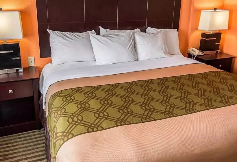 هتل Econo Lodge Inn & Suites Natchitoches