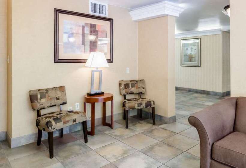 ホテル Quality Inn Chicopeespringfield