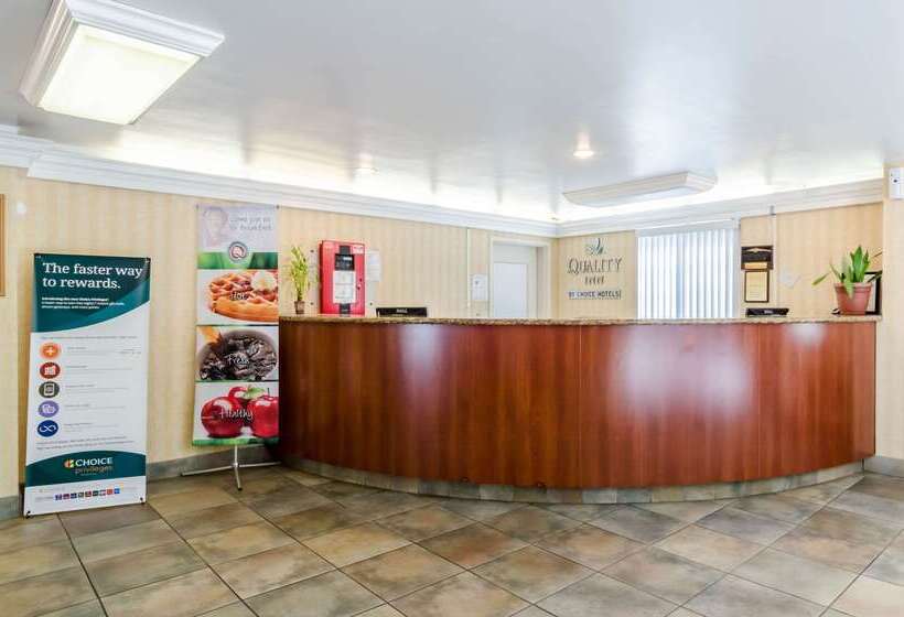 ホテル Quality Inn Chicopeespringfield