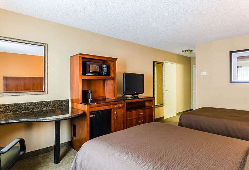 ホテル Quality Inn Chicopeespringfield