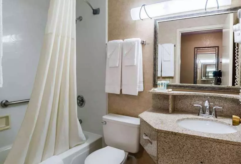 هتل Quality Inn Chicopeespringfield
