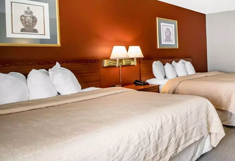 ホテル Quality Inn & Suites