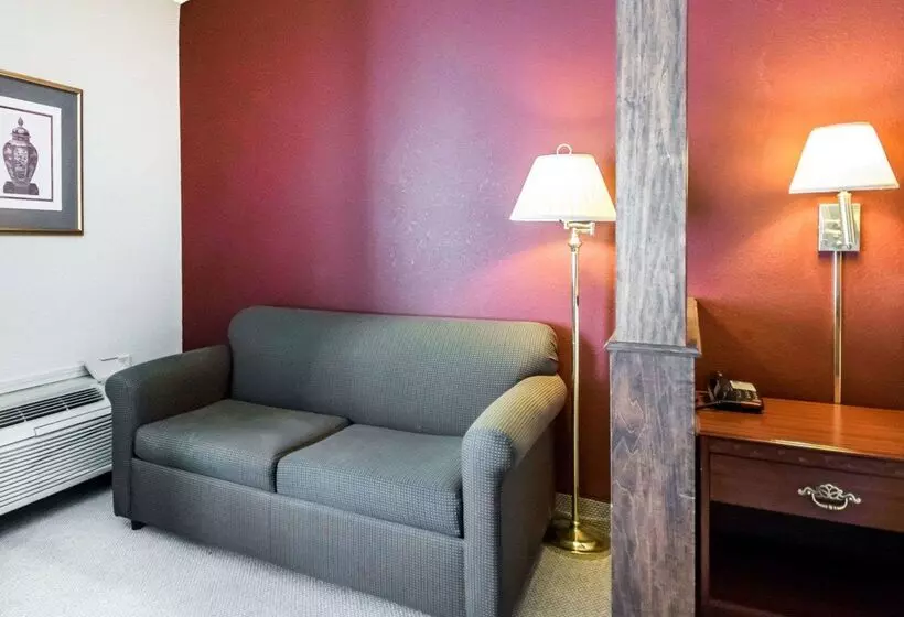 ホテル Quality Inn & Suites