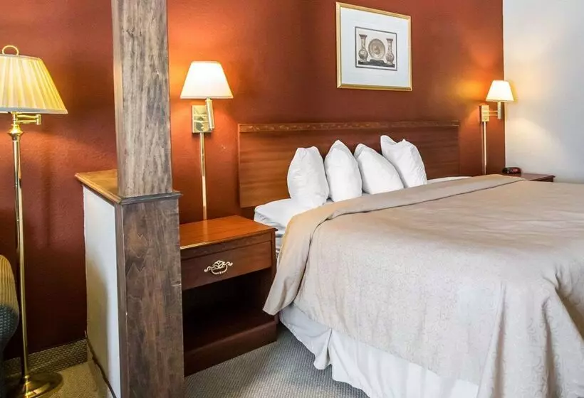 ホテル Quality Inn & Suites