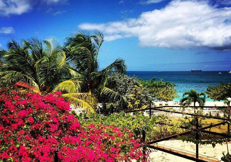 هتل Radisson Grenada Beach Resort