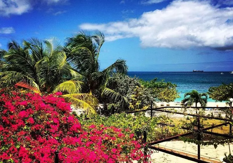 هتل Radisson Grenada Beach Resort