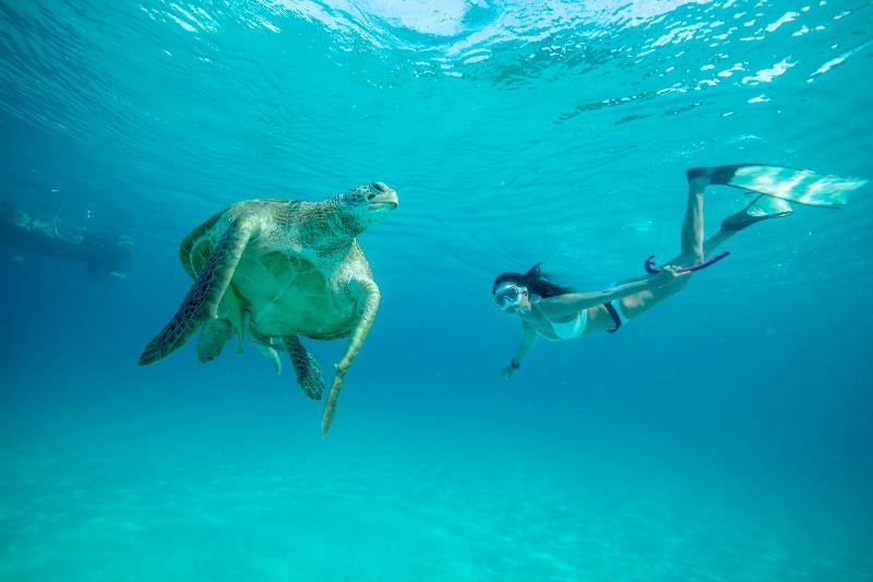 호텔 The Taaras Beach & Spa Resort