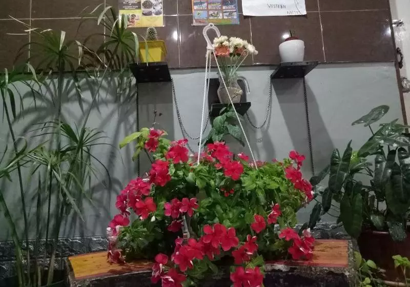 Langkawi Western Motel