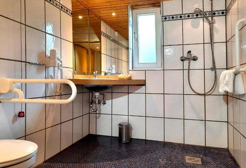 Отель Vier Spitzen