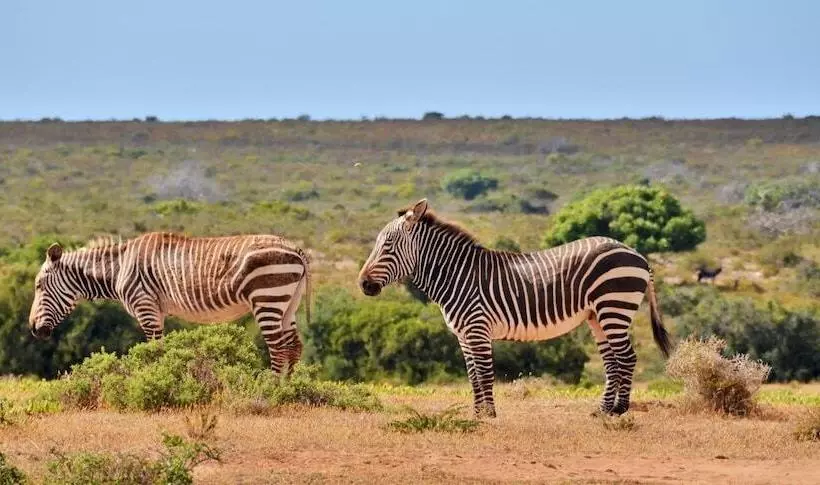 Majatalo De Hoop Vlei Cottages