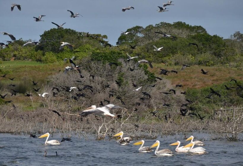 بنسيون De Hoop Vlei Cottages
