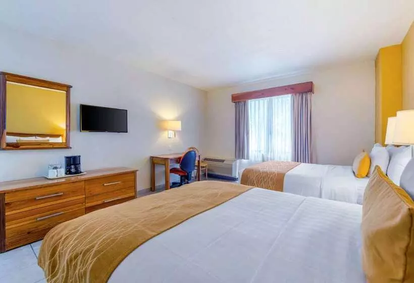 Отель Comfort Inn Tampico