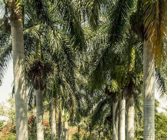 酒店 Hacienda San Gabriel De Las Palmas