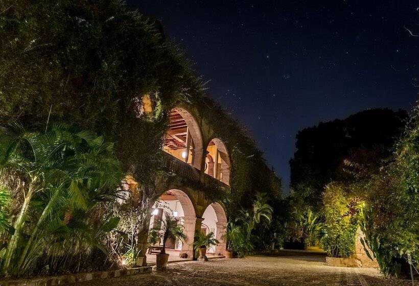 酒店 Hacienda San Gabriel De Las Palmas