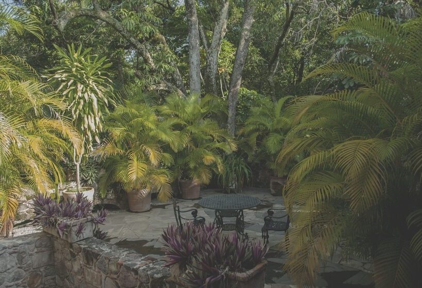 酒店 Hacienda San Gabriel De Las Palmas