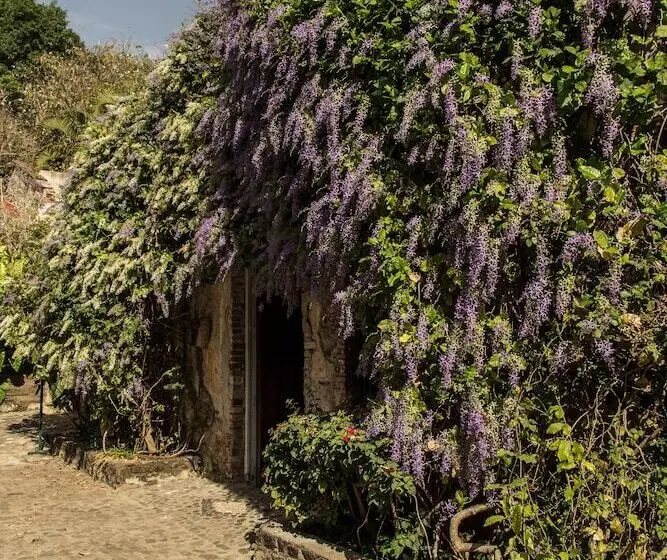 酒店 Hacienda San Gabriel De Las Palmas