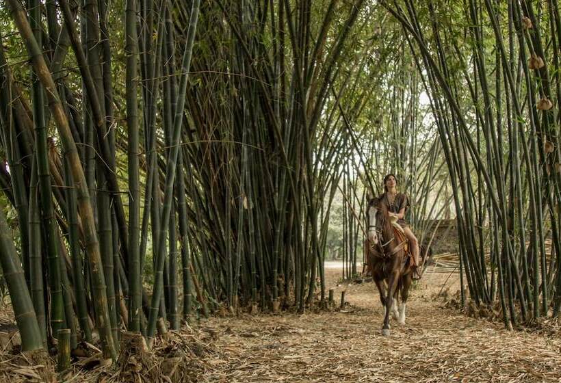 酒店 Hacienda San Gabriel De Las Palmas