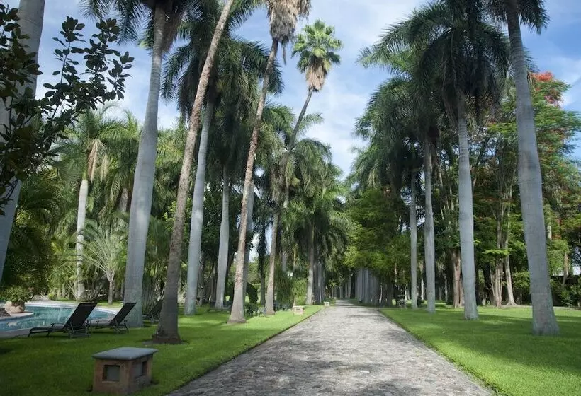 酒店 Hacienda San Gabriel De Las Palmas