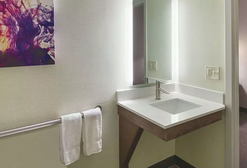 酒店 La Quinta By Wyndham Orange County Airport