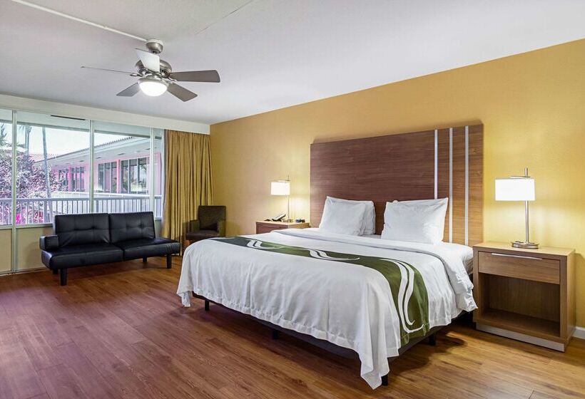 בית מלון כפרי Quality Inn & Suites Airport Cruise Port Hollywood