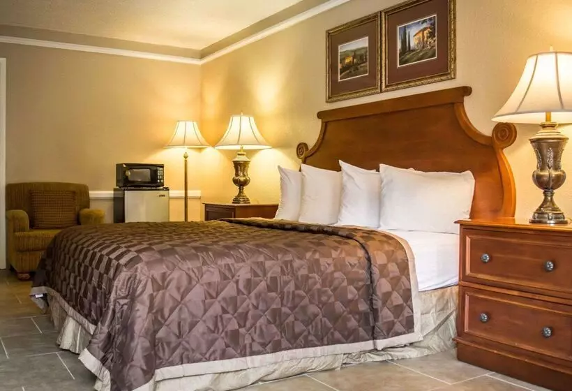 酒店 Rodeway Inn Near Ybor City  Casino