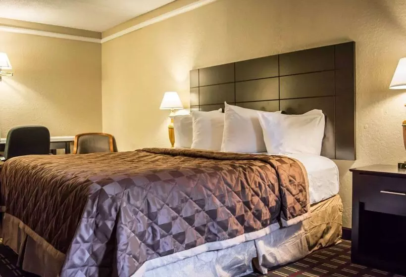 酒店 Rodeway Inn Near Ybor City  Casino