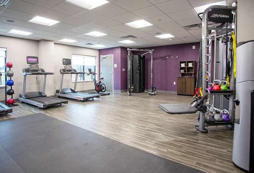 ホテル Hampton Inn Lexington Tn