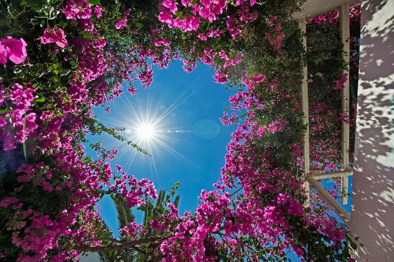 Atlantis Beach Villa