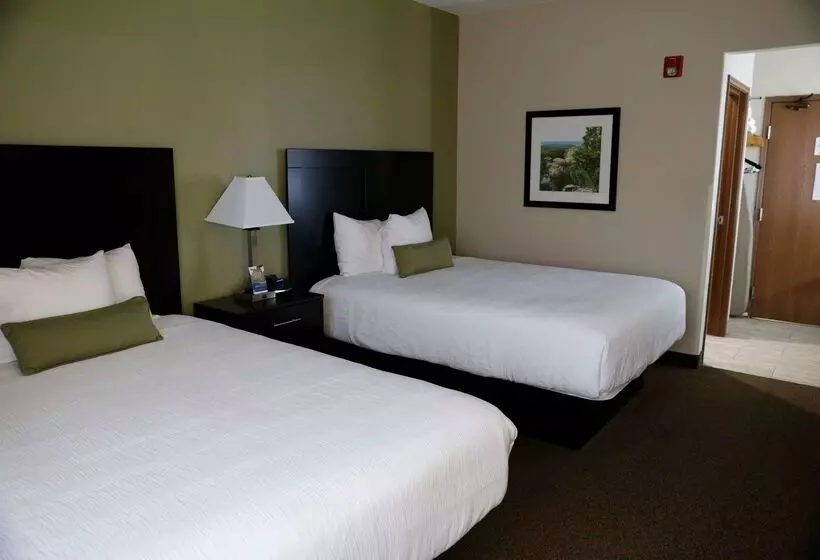 酒店 Baymont By Wyndham Rockford