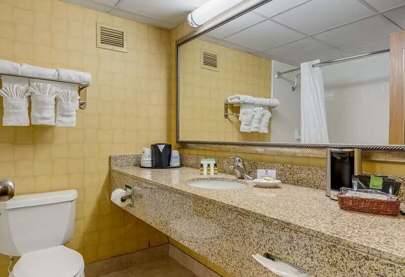 酒店 The Independence Inn   Charlotte Matthews