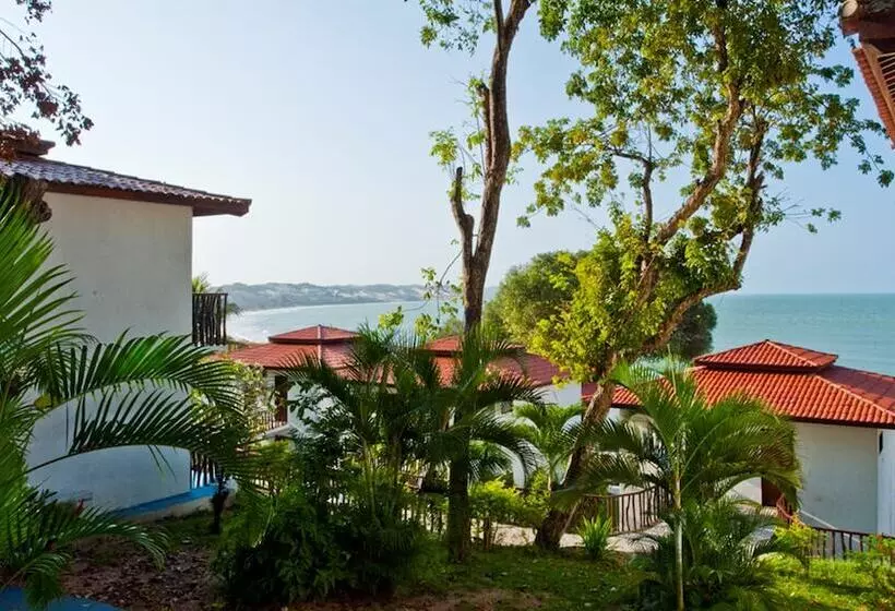 酒店 D Beach Resort