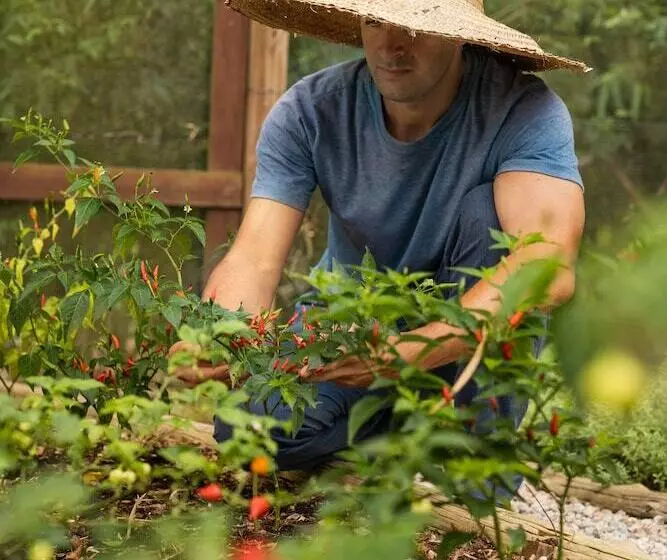 فندق Ponta Dos Ganchos Exclusive Resort