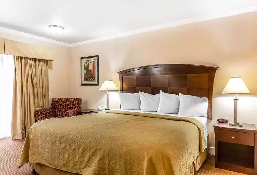 ホテル Quality Inn Near Hearst Castle