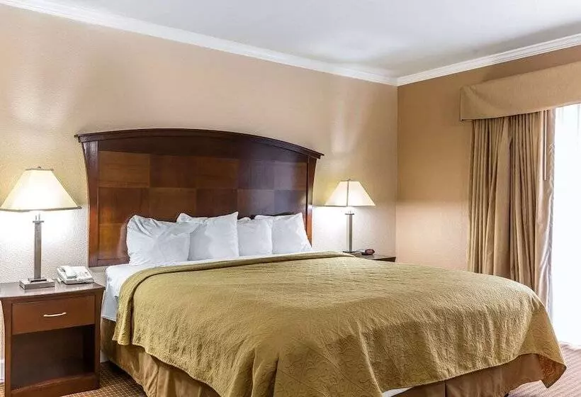 ホテル Quality Inn Near Hearst Castle