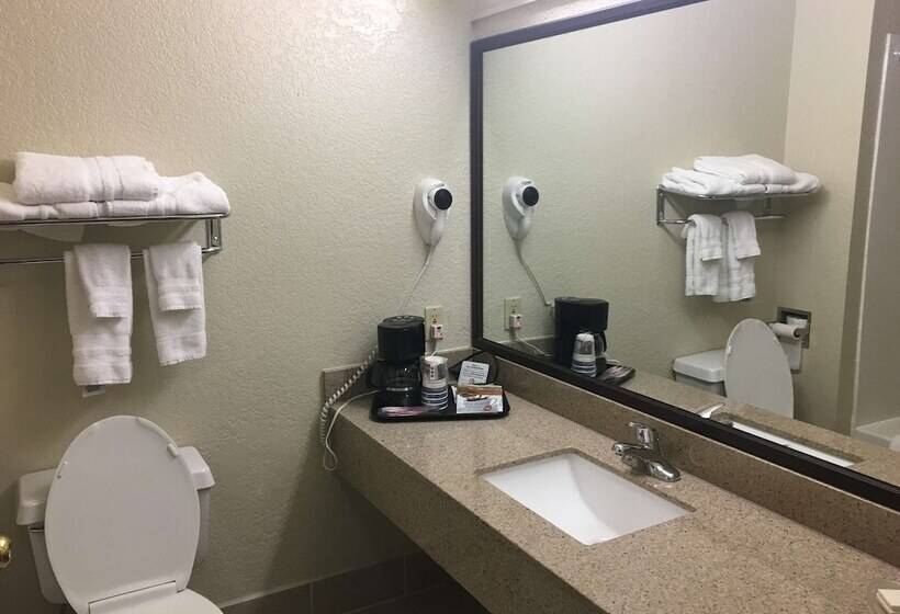 酒店 Best Western San Marcos