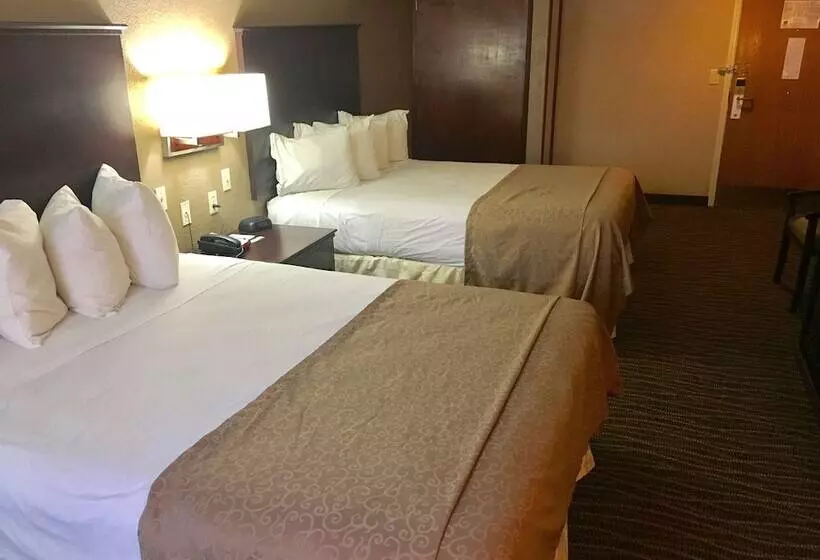 호텔 Best Western San Marcos