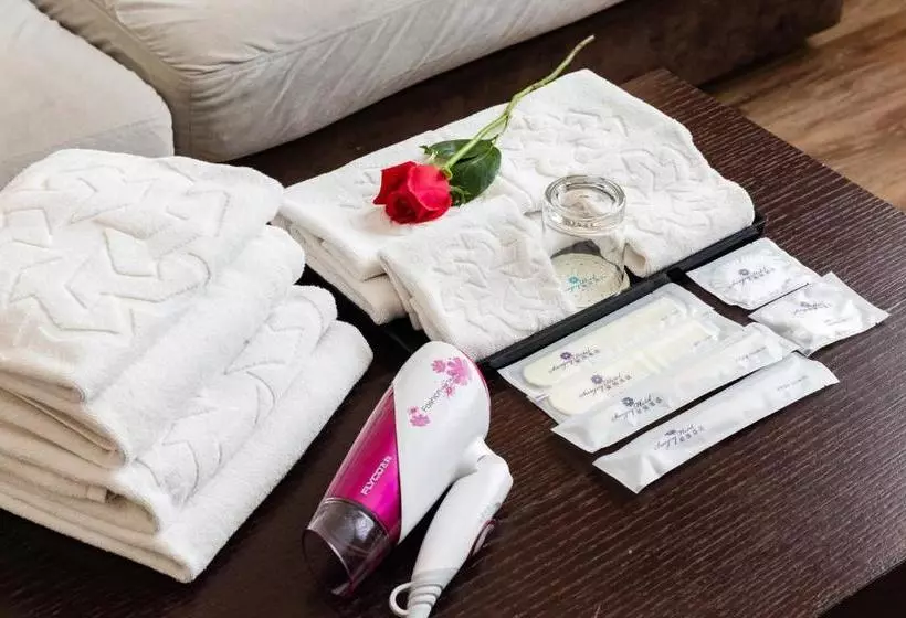 هتل Beijing Sunjoy