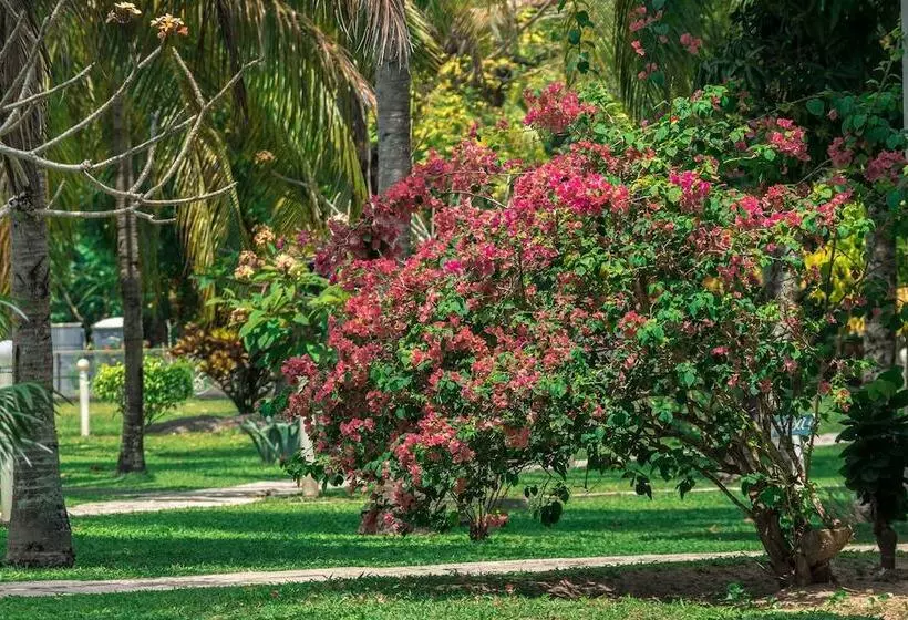 Hotel Village Paraíso Tropical