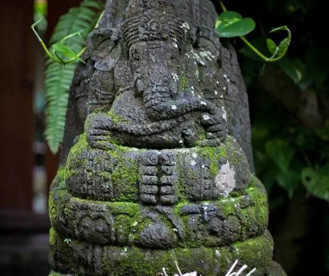 酒店 Barong Resort Ubud By Puri Signatures