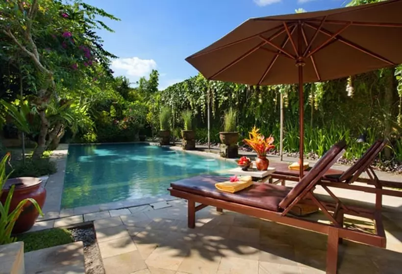 酒店 Barong Resort Ubud By Puri Signatures