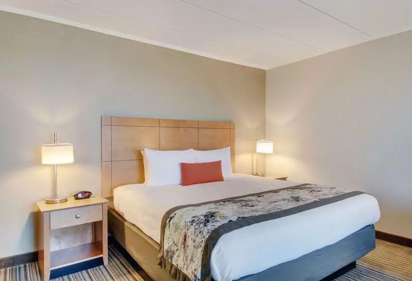 ホテル Best Western Plus Waltham Boston