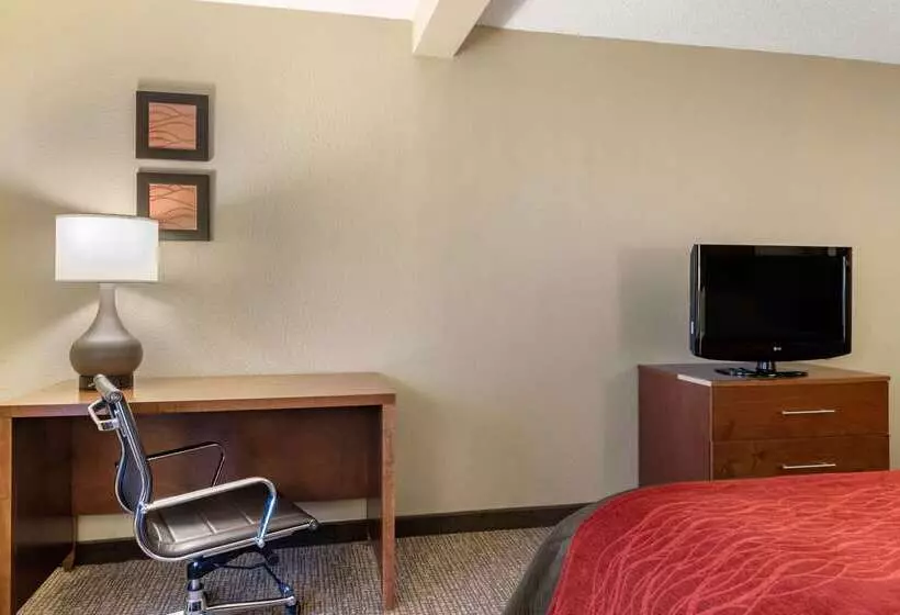 Отель Comfort Inn & Suites Suwanee  Sugarloaf