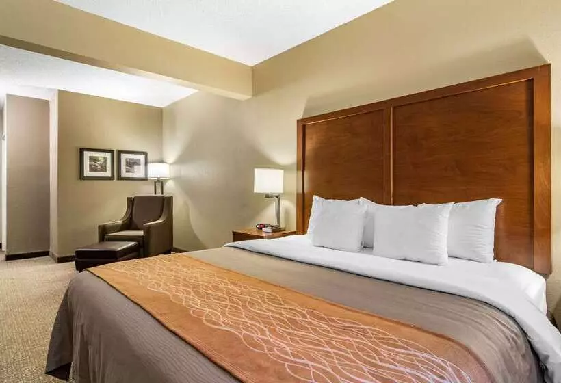 Отель Comfort Inn & Suites Suwanee  Sugarloaf