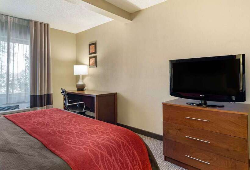 בית מלון כפרי Comfort Inn & Suites Suwanee Sugarloaf