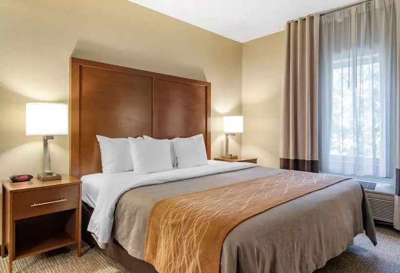 Отель Comfort Inn & Suites Suwanee  Sugarloaf