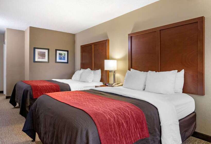 בית מלון כפרי Comfort Inn & Suites Suwanee Sugarloaf