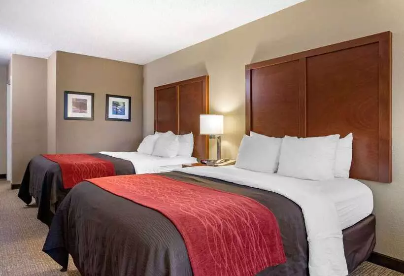 Отель Comfort Inn & Suites Suwanee  Sugarloaf