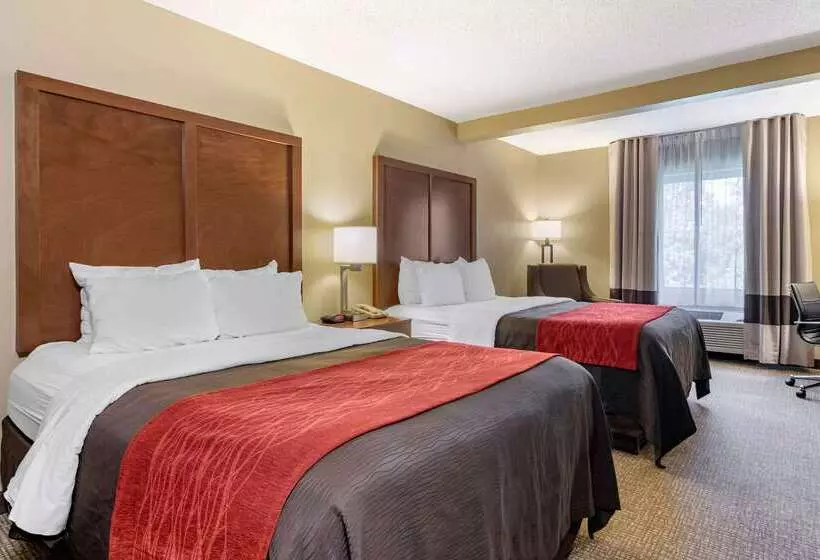 Отель Comfort Inn & Suites Suwanee  Sugarloaf